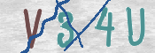 この文字を入力してください