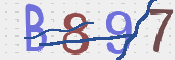 この文字を入力してください
