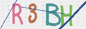 この文字を入力してください