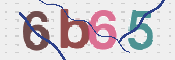 この文字を入力してください