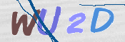 この文字を入力してください