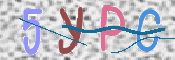 この文字を入力してください