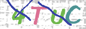 この文字を入力してください