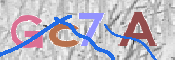 この文字を入力してください