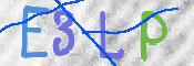 この文字を入力してください