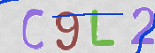 この文字を入力してください