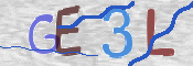 この文字を入力してください