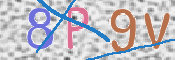この文字を入力してください