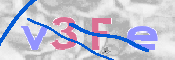 この文字を入力してください