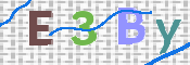 この文字を入力してください