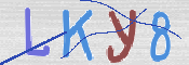 この文字を入力してください