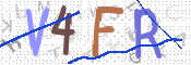 この文字を入力してください