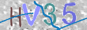 この文字を入力してください