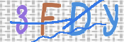 この文字を入力してください