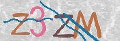 この文字を入力してください