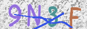 この文字を入力してください