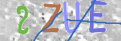 この文字を入力してください