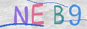 この文字を入力してください
