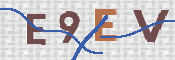 この文字を入力してください