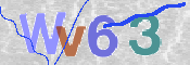 この文字を入力してください