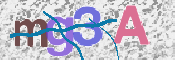 この文字を入力してください