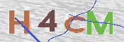 この文字を入力してください
