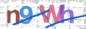 この文字を入力してください