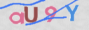 この文字を入力してください