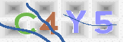 この文字を入力してください