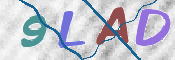 この文字を入力してください