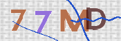 この文字を入力してください