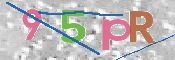 この文字を入力してください