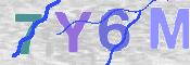 この文字を入力してください