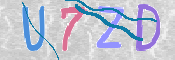 この文字を入力してください