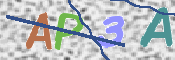 この文字を入力してください