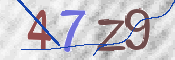 この文字を入力してください