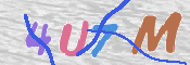 この文字を入力してください
