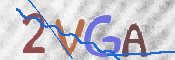 この文字を入力してください