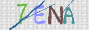 この文字を入力してください