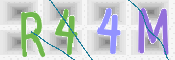 この文字を入力してください