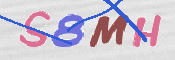 この文字を入力してください