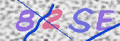 この文字を入力してください