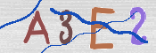 この文字を入力してください