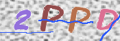 この文字を入力してください