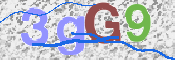この文字を入力してください