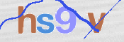 この文字を入力してください