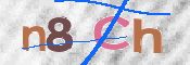 この文字を入力してください