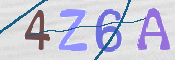 この文字を入力してください
