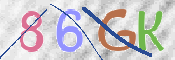 この文字を入力してください