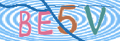 この文字を入力してください